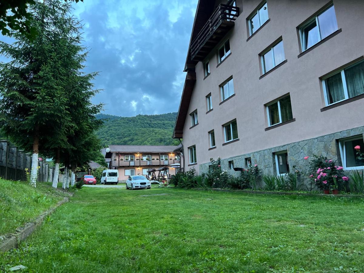 Pensiunea Flora Cîrţişoara Extérieur photo