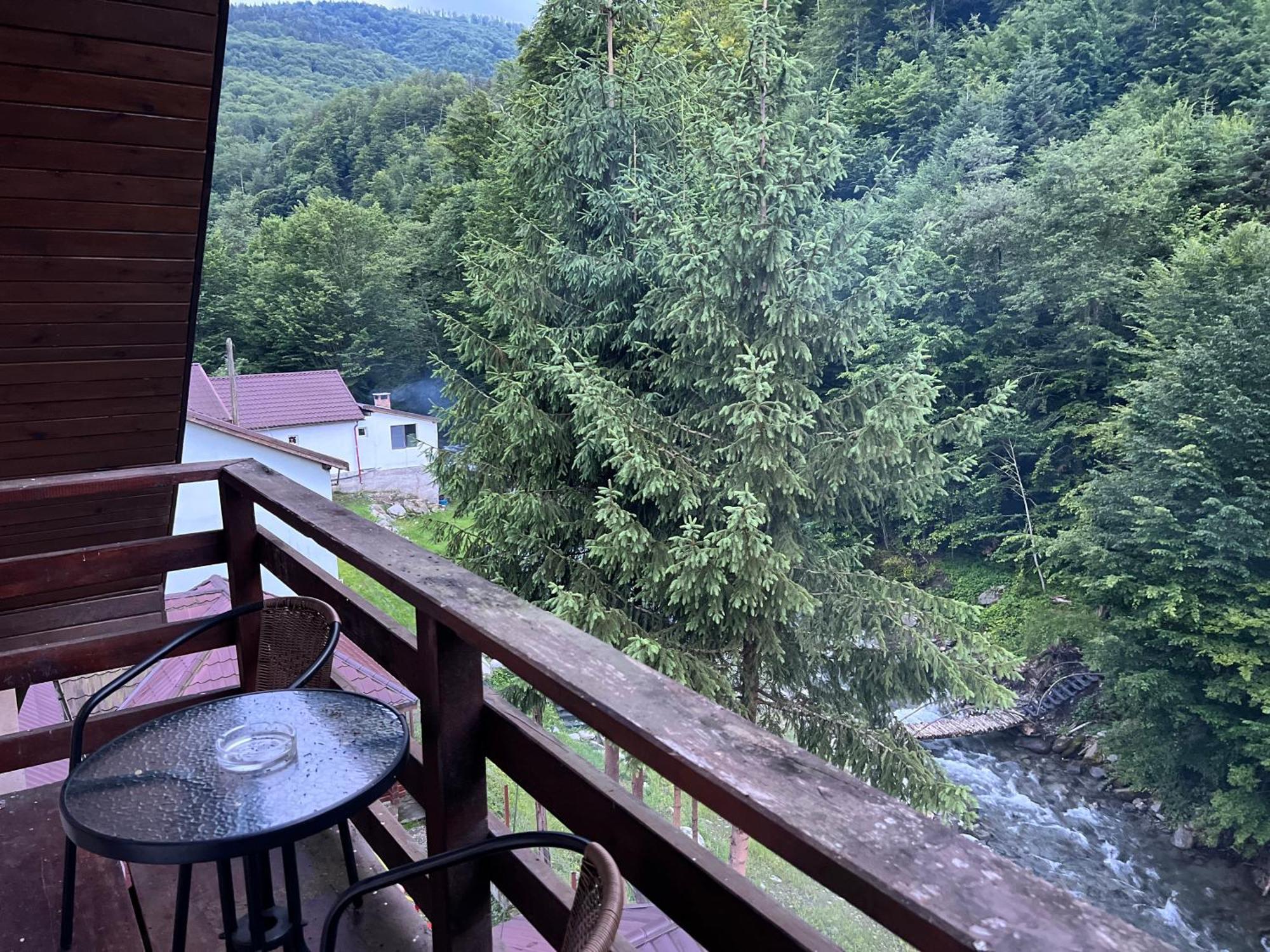 Pensiunea Flora Cîrţişoara Extérieur photo