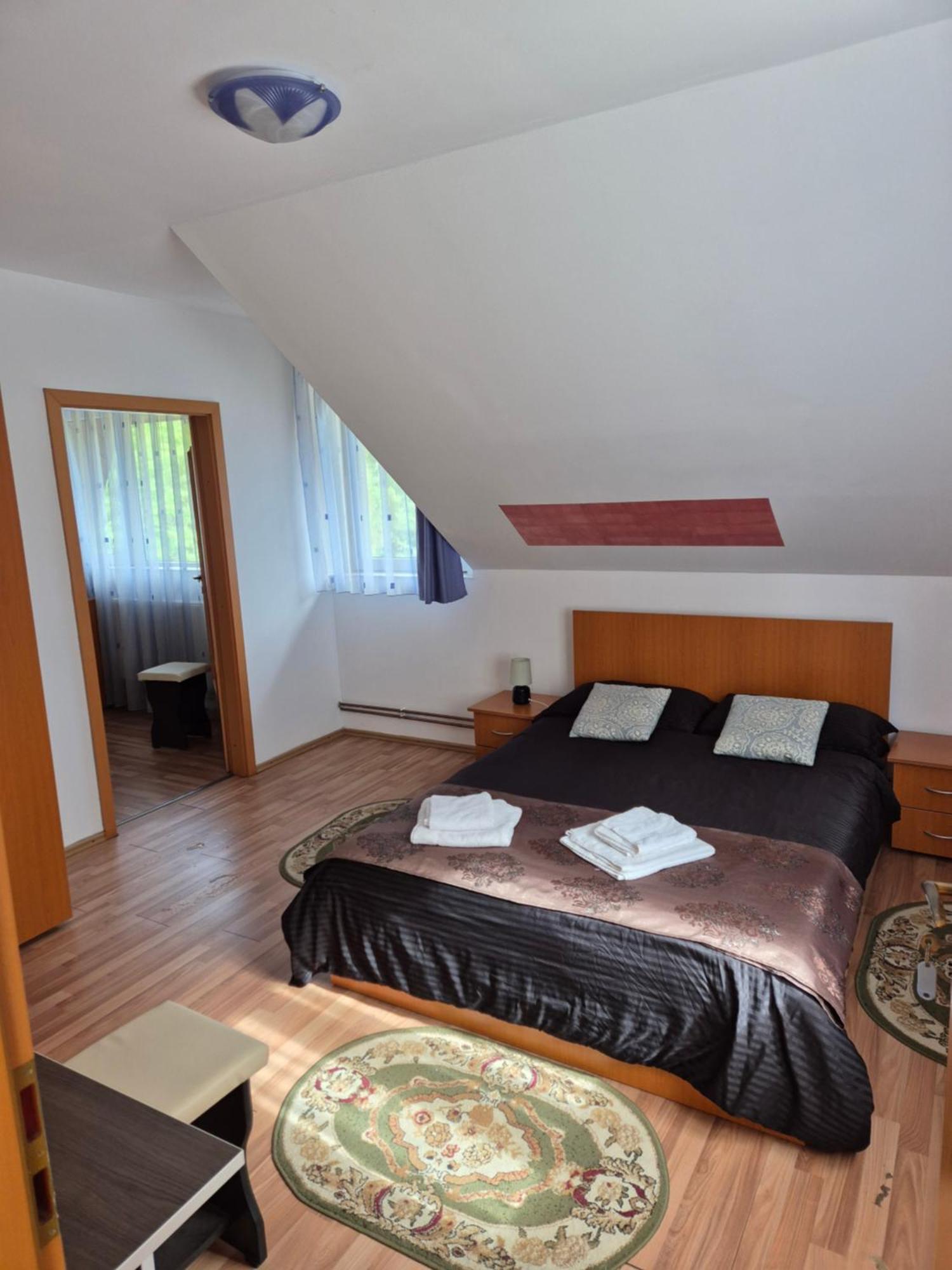 Pensiunea Flora Cîrţişoara Extérieur photo