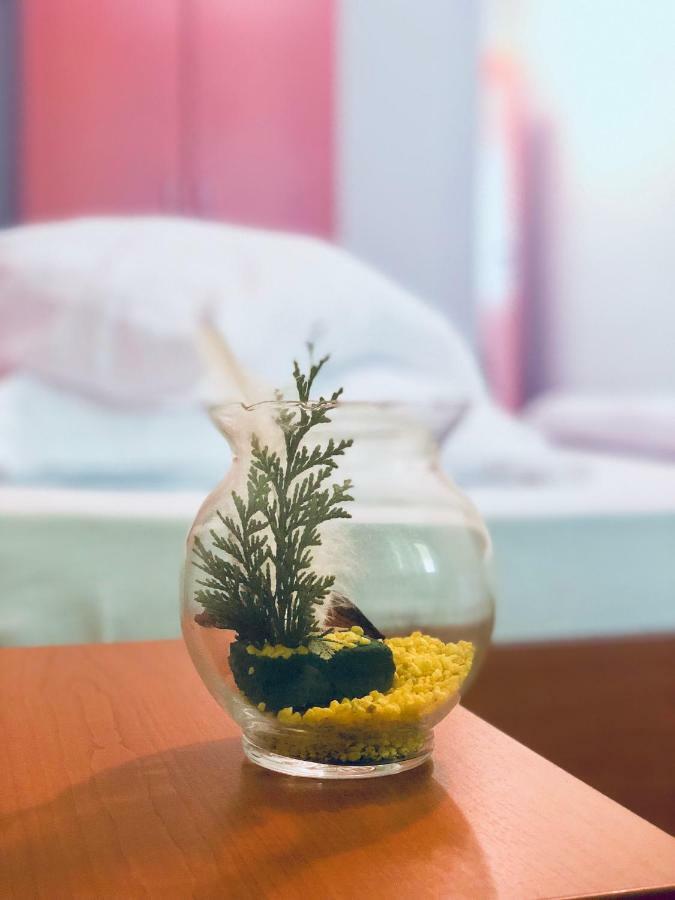Pensiunea Flora Cîrţişoara Extérieur photo