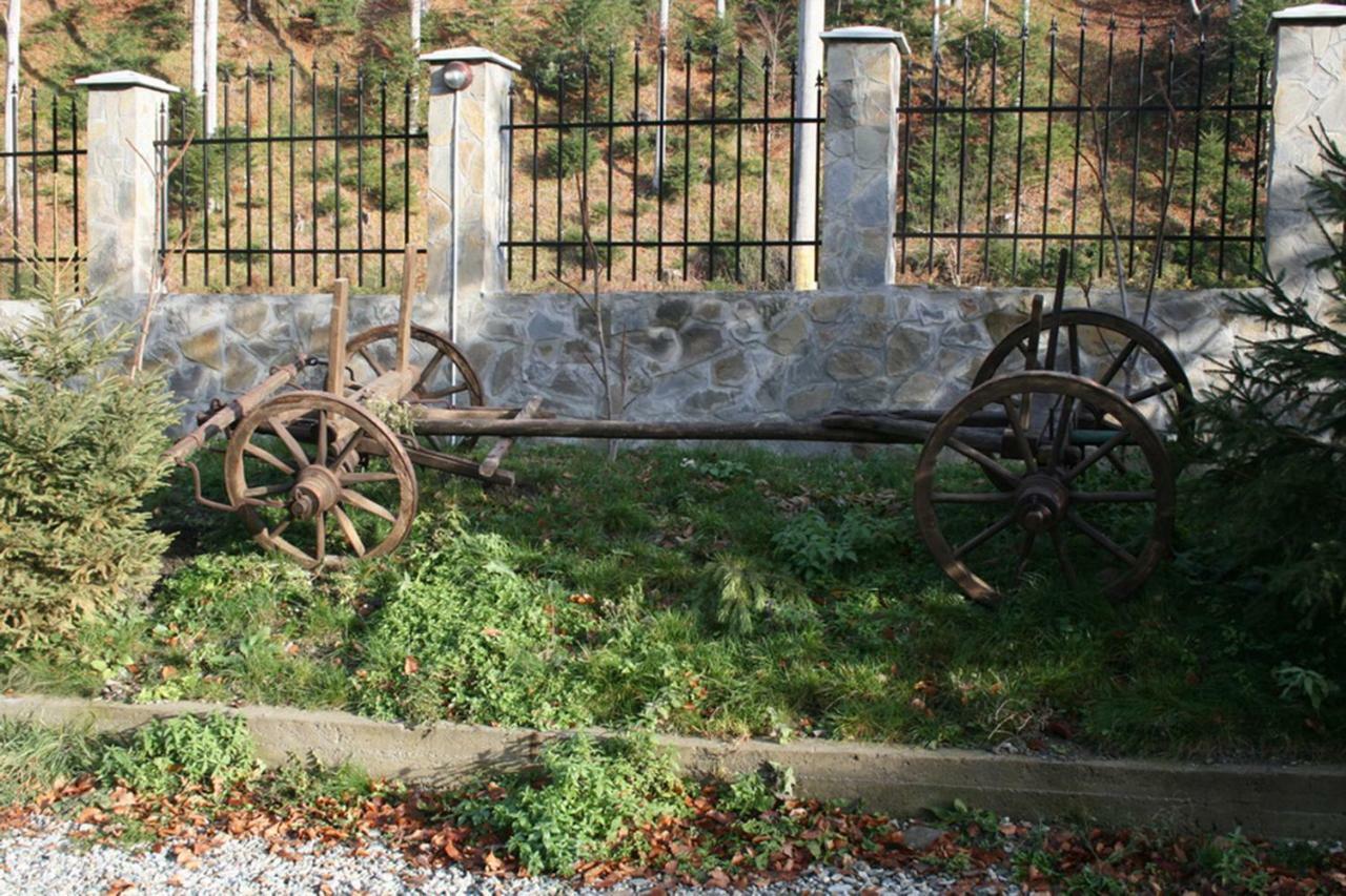 Pensiunea Flora Cîrţişoara Extérieur photo