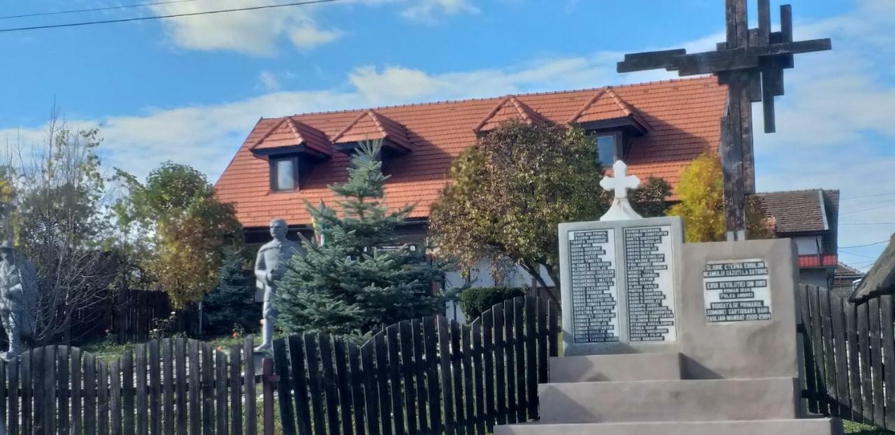 Pensiunea Flora Cîrţişoara Extérieur photo