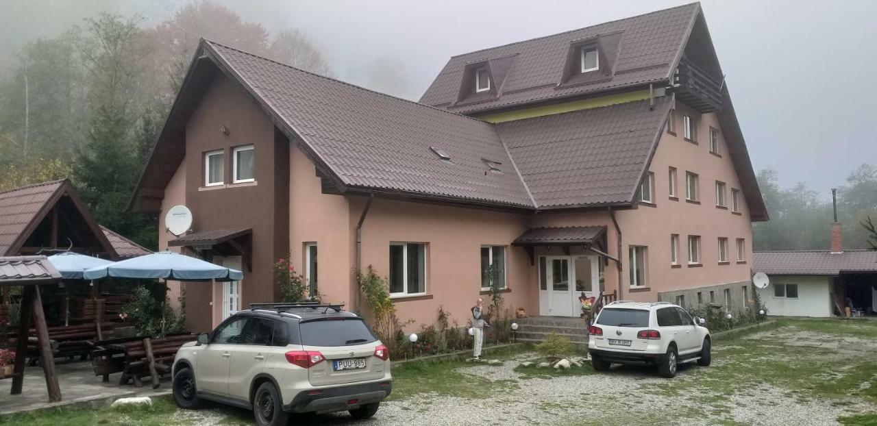 Pensiunea Flora Cîrţişoara Extérieur photo